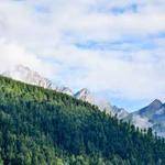 Kaylie Ryan Profile Picture