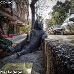 Lois Rau Profile Picture