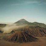 Alisha Bayer Profile Picture